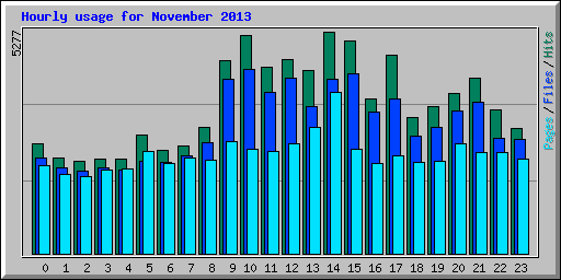 Hourly usage for November 2013