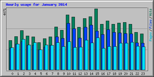 Hourly usage for January 2014